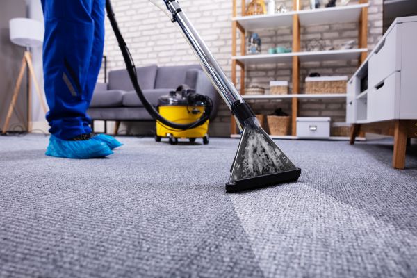 Carpet Deep Cleaning in Puyallup
