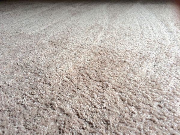Plush Carpet Installation in Puyallup